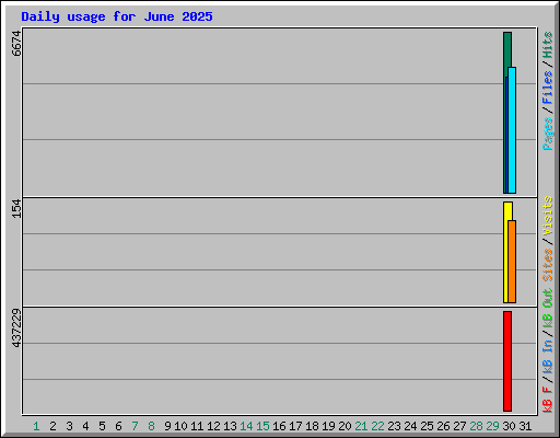 Daily usage for June 2025