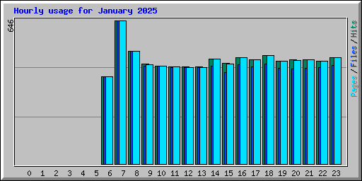 Hourly usage for January 2025