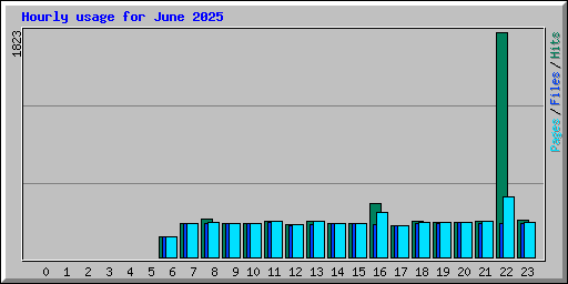 Hourly usage for June 2025