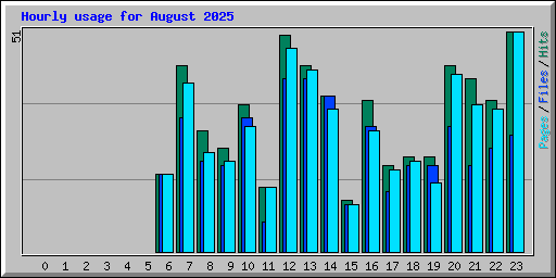 Hourly usage for August 2025