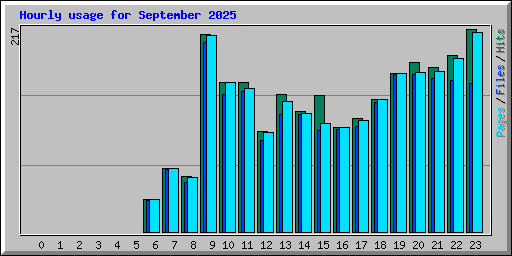 Hourly usage for September 2025