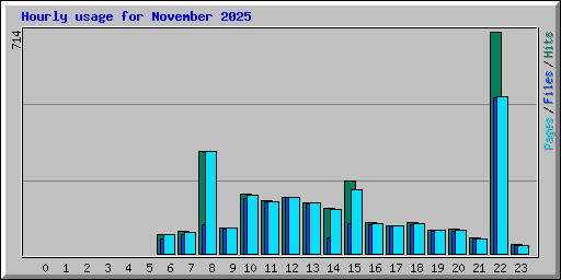 Hourly usage for November 2025