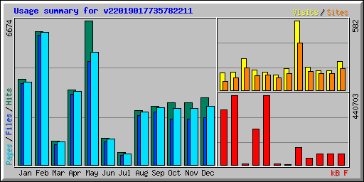 Usage summary for v22019017735782211